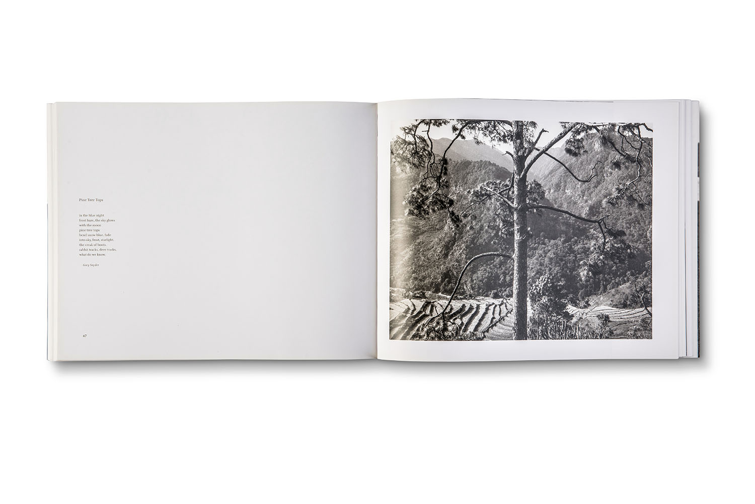 bhutan-plate1.jpg