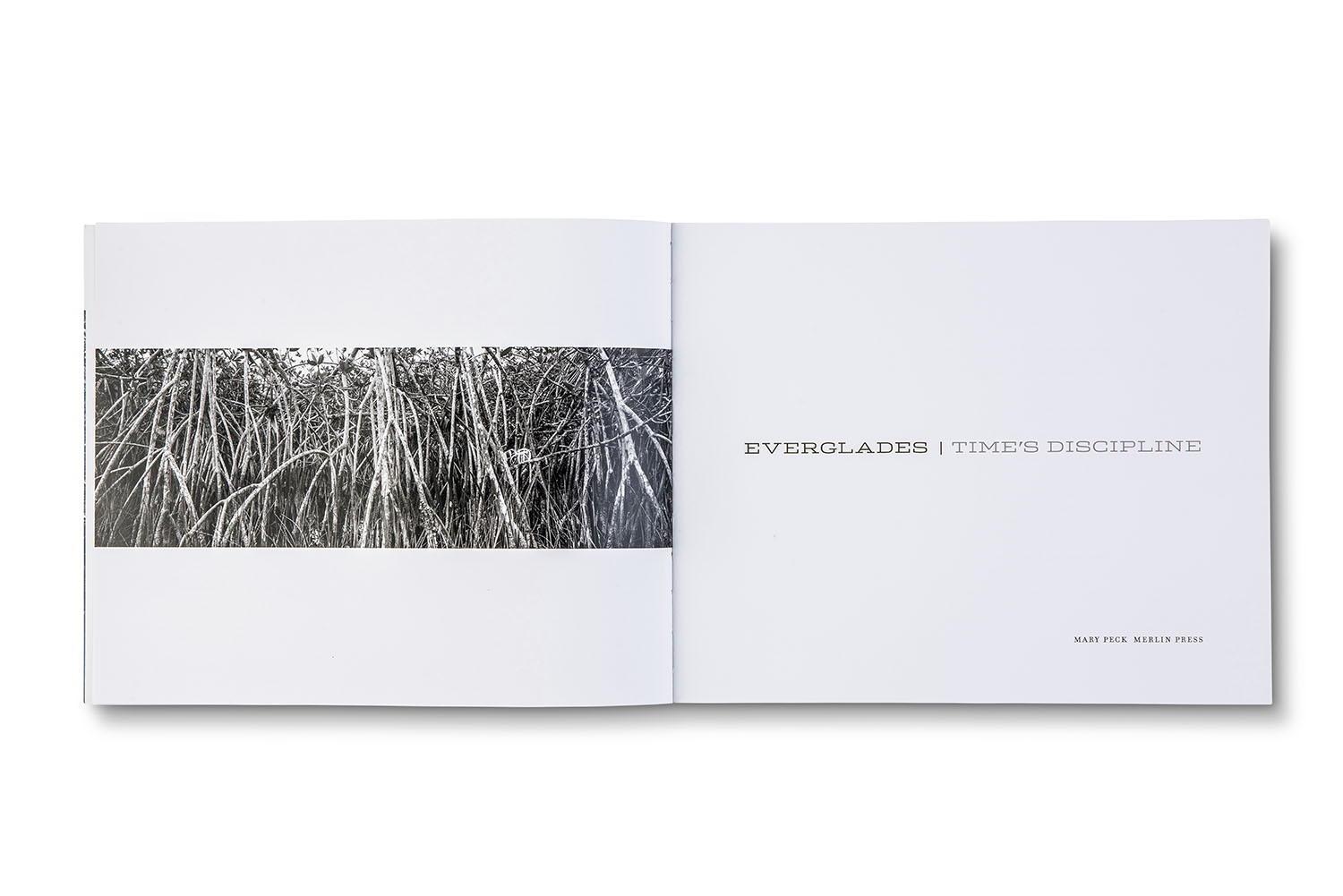 everglades-title.jpg