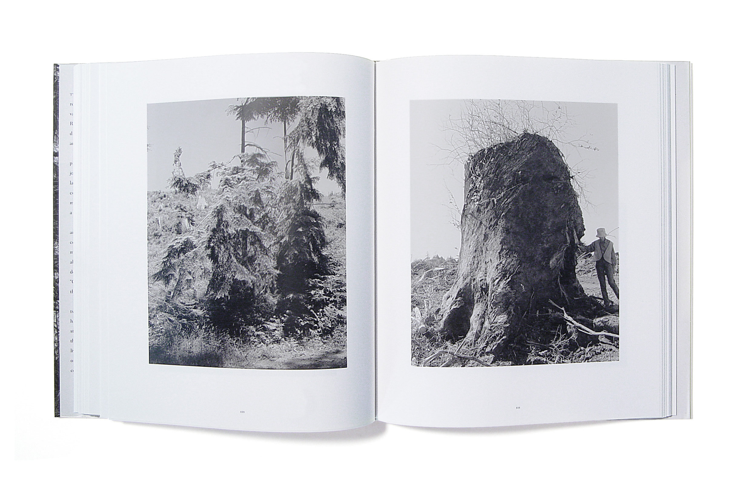 Adams_TurnBack_Spread02.jpg