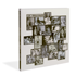 Lee Friedlander: Family